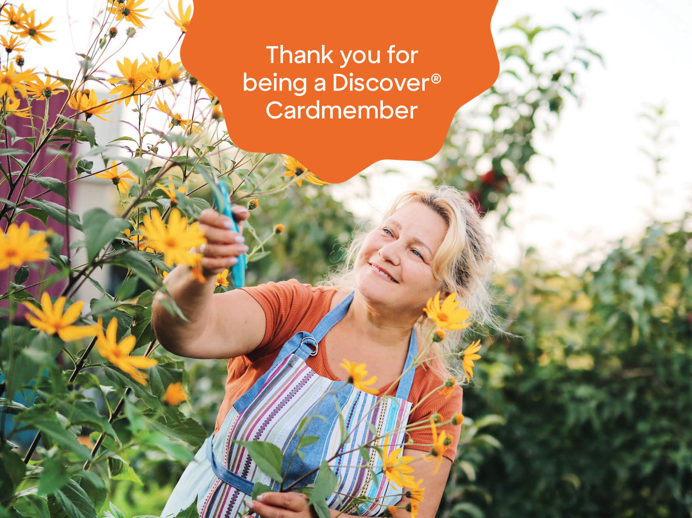 Tri-Fold Mailer - Creative Test - Back